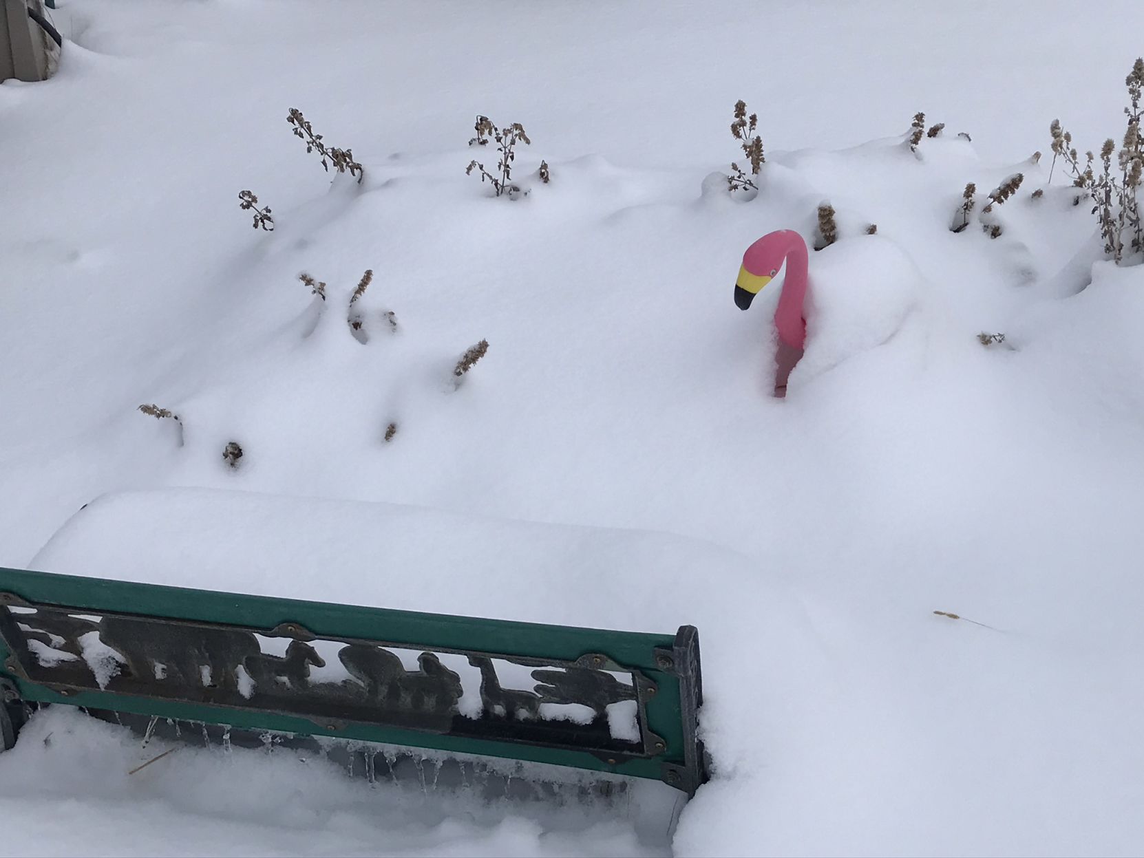Last Minute Snow